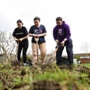 Students pitched in to help a gardening project