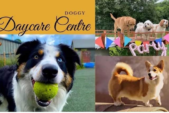 Waggy Tales doggy daycare's appeal for help was highly successful