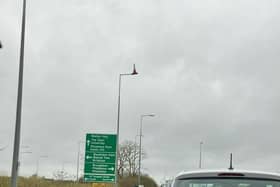 Parliamentary candidate Johnny Luk spotted this baffling sight in Milton Keynes today