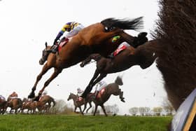 The Cheltenham Festival gets underway this week. Picture: Mike Hewitt/Getty Images