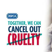 The RSPCA is seeking the public's help to investigate a case of dog cruelty in Milton Keynes