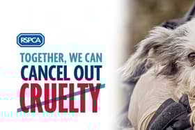 The RSPCA is seeking the public's help to investigate a case of dog cruelty in Milton Keynes