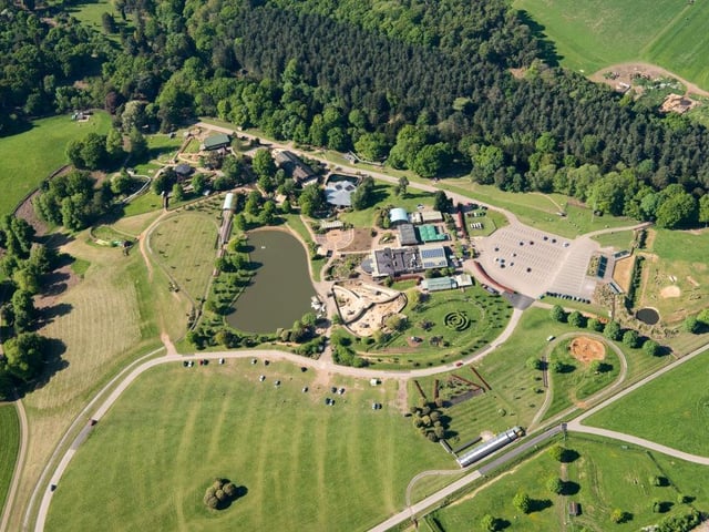 Woburn Safari Park is part of the estates of the Duke of Bedford that also includes Woburn Abbey and its 3,000-acre (1,200 ha) deer park. The Safari Park itself covers 360 acres (150 ha). If you love animals then this is the place for you.