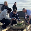 National Grid funding has enabled the roof garden to be developed.