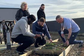 National Grid funding has enabled the roof garden to be developed.