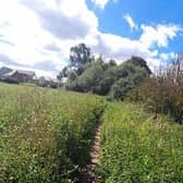 A narrow path surrounded by stinging nettles is the only 'safe' way to exit the estate of Eaton Leys in MK for people on foot