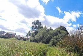 A narrow path surrounded by stinging nettles is the only 'safe' way to exit the estate of Eaton Leys in MK for people on foot