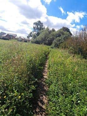 A narrow path surrounded by stinging nettles is the only 'safe' way to exit the estate of Eaton Leys in MK for people on foot