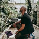 Jason Singh records the 'voices' of plants