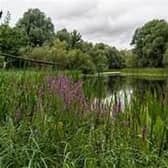Milton Keynes and Buckinghamshire is home to a wide range of habitats and species.