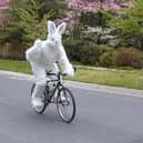 Follow the Rabbit through Central Milton Keynes