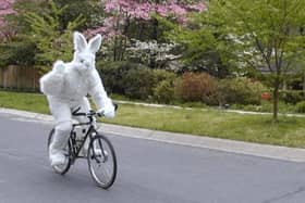 Follow the Rabbit through Central Milton Keynes