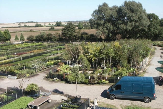 Acorn MK Nurseries Ltd Acorn nurdery in Emberton is perhaps MK's best kept gardening secret. It's a wholesale plant nursery but is very welcoming to customers who just want to buy a lot of plants. The plants at the Newton Road site are amazing - and the prices are incredibly cheap!