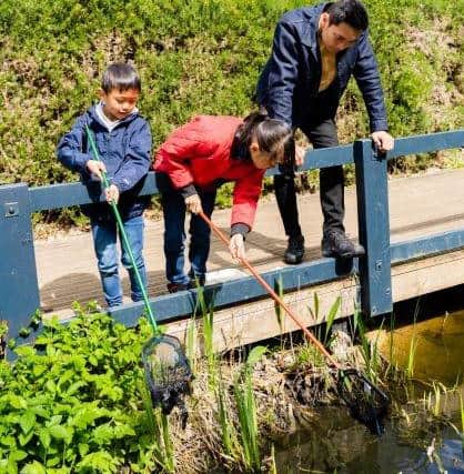 Pond-dipping is among the many activities families can enjoy in Milton Keynes parks over Easter.