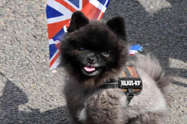 Residents and their pets got into the spirit of the Platinum Jubilee