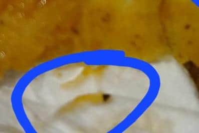 This one has an "eye" and was moving, says the woman