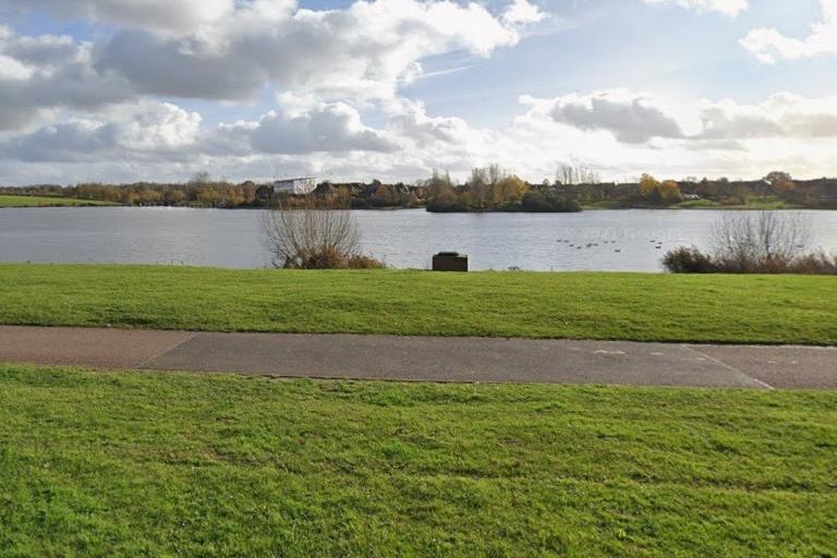 Public asked not to feed the birds at park in Milton Keynes to help create ...