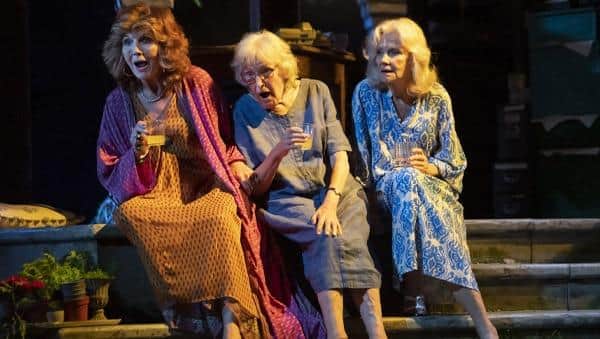 THE BEST EXOTIC MARIGOLD HOTEL (Credit: Johan Persson)