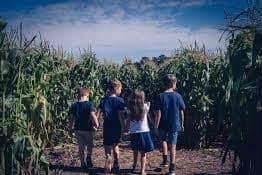 There's a giant new maze opening this week at The Patch MK