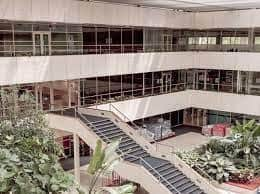 Saxon Court atrium