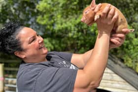 Olivia Mikhail is giving this advice to Milton Keynes pig lovers - Animal News Agency