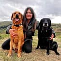 Rachel Bean is issuing this advice to Milton Keynes dog owners - Animal News Agency