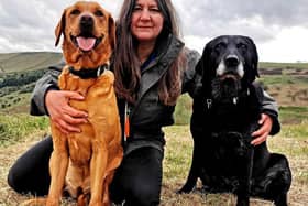 Rachel Bean is issuing this advice to Milton Keynes dog owners - Animal News Agency