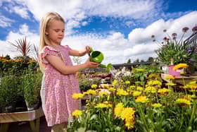 Little Seedlings Ambassador Ella McConkey is pictured watering flowers at Dobbies’ Antrim store