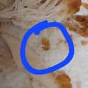 The creatures were shaped like tiny fetuses