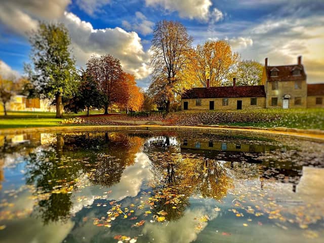 MK McDonalds franchisee has captured autumn in a spectacular picture