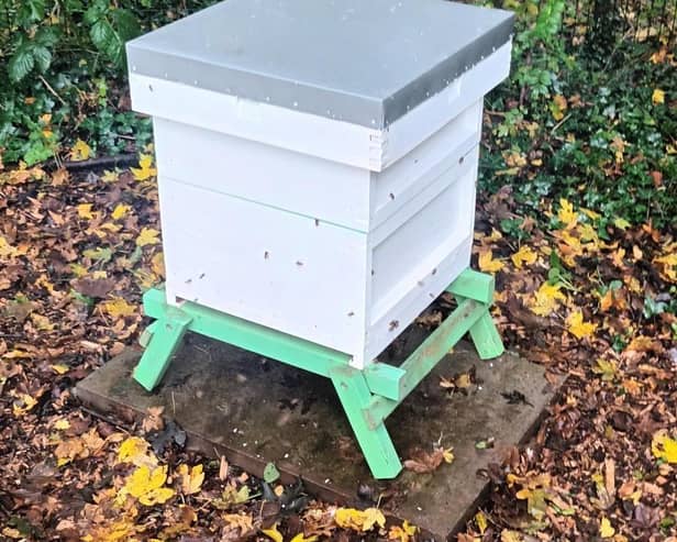 Bee Hives at Gifford Gate Allotment