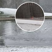 A man was caught on video swimming in Roundhay Park's Waterloo Lake in Leeds during freezing temperatures and warnings in place for snow.