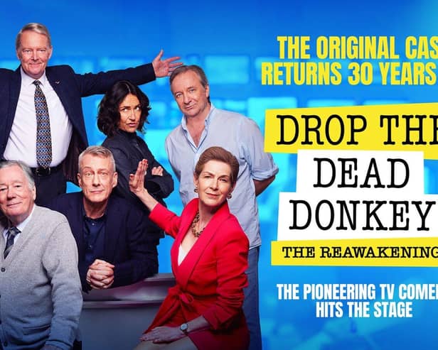 Drop the Dead Donkey - Show Artwork