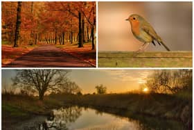 Take a look at the submissions that really caught the eye of calendar-makers at Keech. Picture: Richard Southan, Jean Fitch and Anwar Talukdar