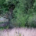 Walton Lake is the least known lake in MK but a great place to visit