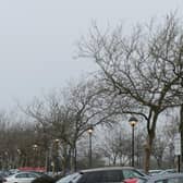 Some of the eternally-burning street lights at CMK