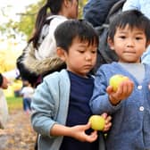 Youngsters could pick their own apples