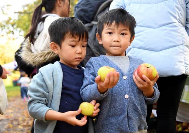 Youngsters could pick their own apples