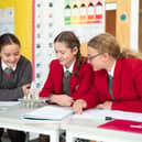 Thornton Students Studying Science