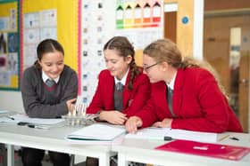 Thornton Students Studying Science