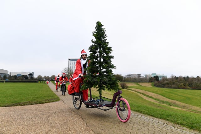 One Santa even had a full-size Christmas tree mounted on his bike. Photos: Jane Russell