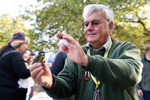There was a demonstration of bird ringing