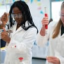 Thornton College has been rated Excellent in all areas