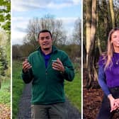 The team at The Parks Trust have been asked to identify a tree that they’re most fond of