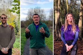 The team at The Parks Trust have been asked to identify a tree that they’re most fond of
