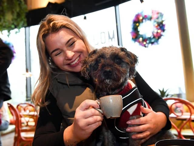 Dog day afternoon, the event provided a super fun dog experience with unlimited 'puppuccinos' and treats