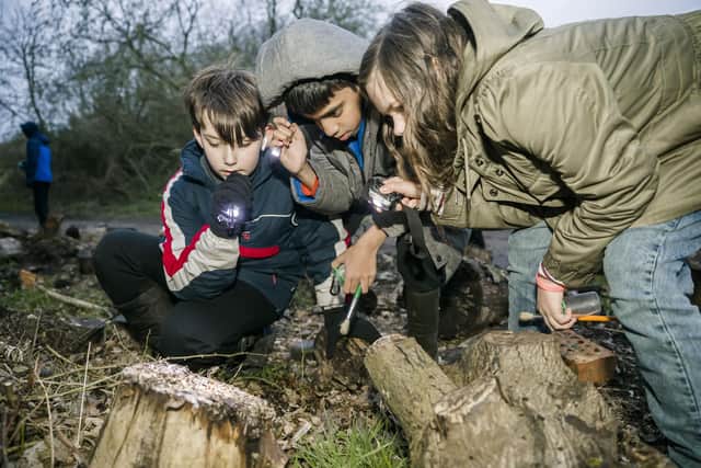 Young explorers enjoying the wildlife course in Milton Keynes