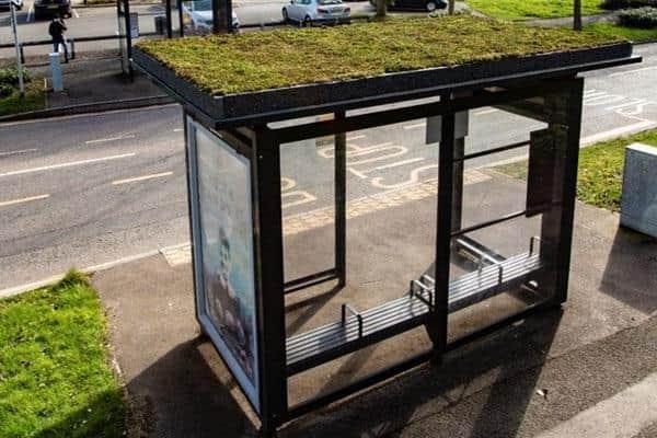 One of the Living Green bus shellters already installed features a rooftop packed with sedum plants
