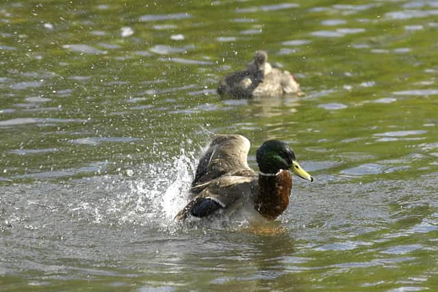 Environment Agency data shows sewage from storm overflows was flowing into water bodies in Milton Keynes for 2,113 hours in 2023, during 237 spills.