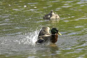 Environment Agency data shows sewage from storm overflows was flowing into water bodies in Milton Keynes for 2,113 hours in 2023, during 237 spills.